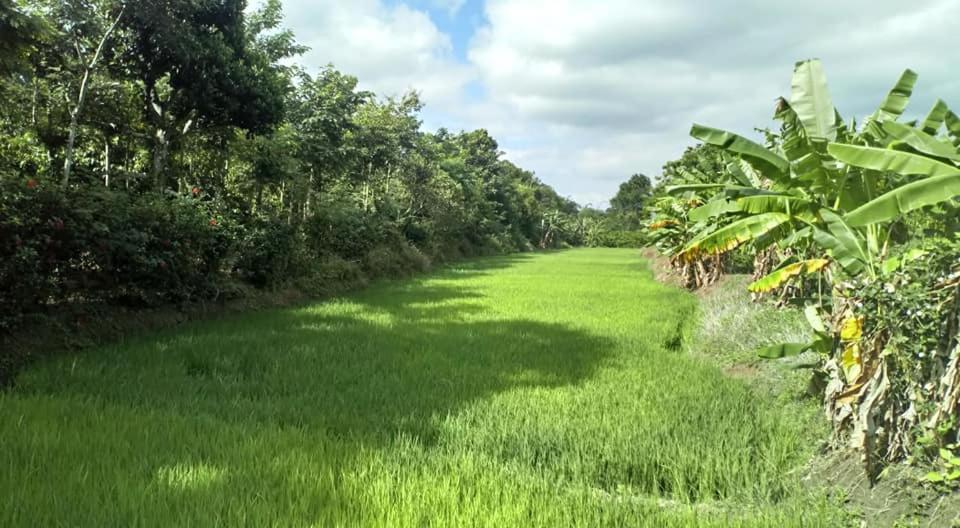 Happy Homestay Buon Ma Thuot Buitenkant foto