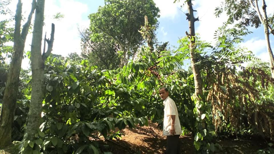 Happy Homestay Buon Ma Thuot Buitenkant foto